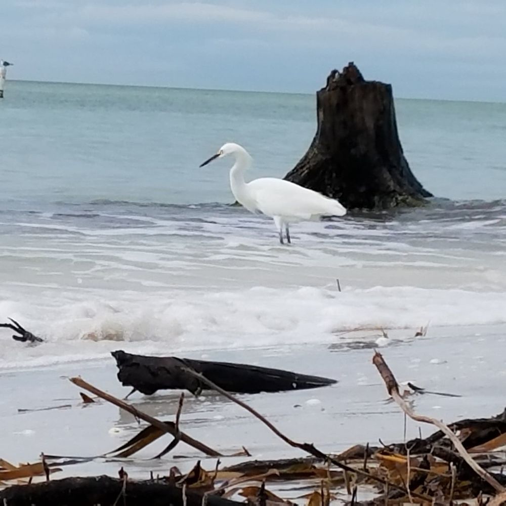 Meet your Posher, Anette